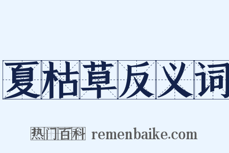 夏枯草反义词是什么意思的图片